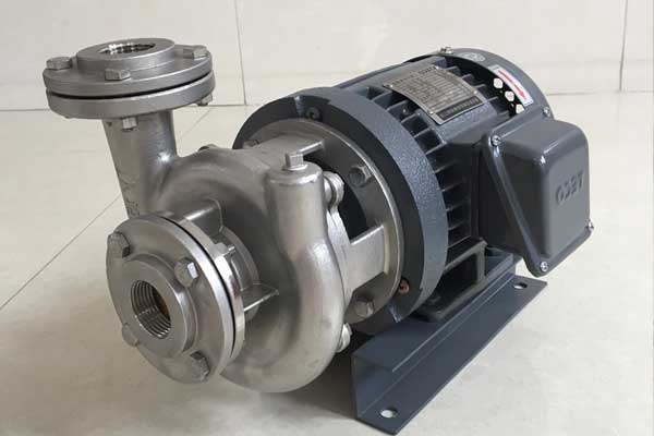 Philippine customers purchase TS stainless steel water pump