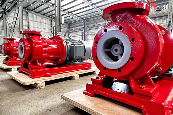 Vietnamese customers purchase acid-resistant magnetic pumps