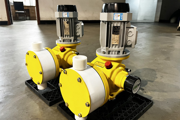 Russian customers purchase DJZ metering chemical pumps