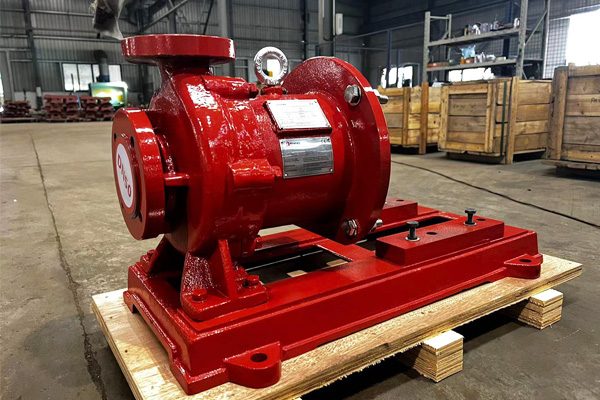 Turkish customers purchase CQB-F magnetic pump