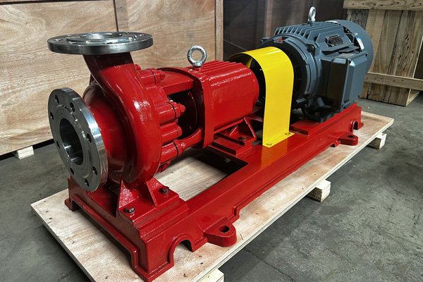 African customers purchase IH stainless steel centrifugal pump