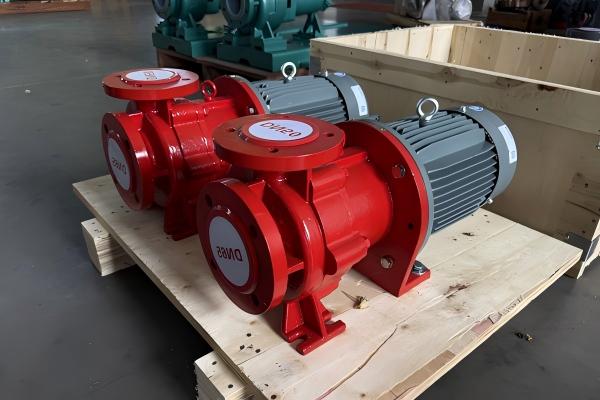 Indonesian customers are purchasing hydrochloric acid magnetic pumps