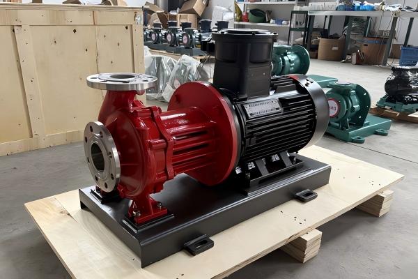 Southeast Asian customers are purchasing stainless steel magnetic pumps
