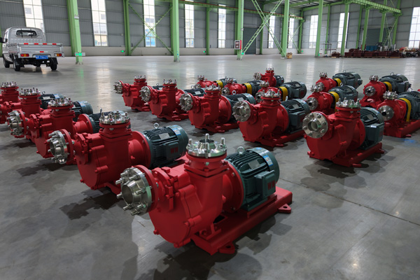 Customer from Kazakhstan is purchasing Teflon self-priming magnetic pump